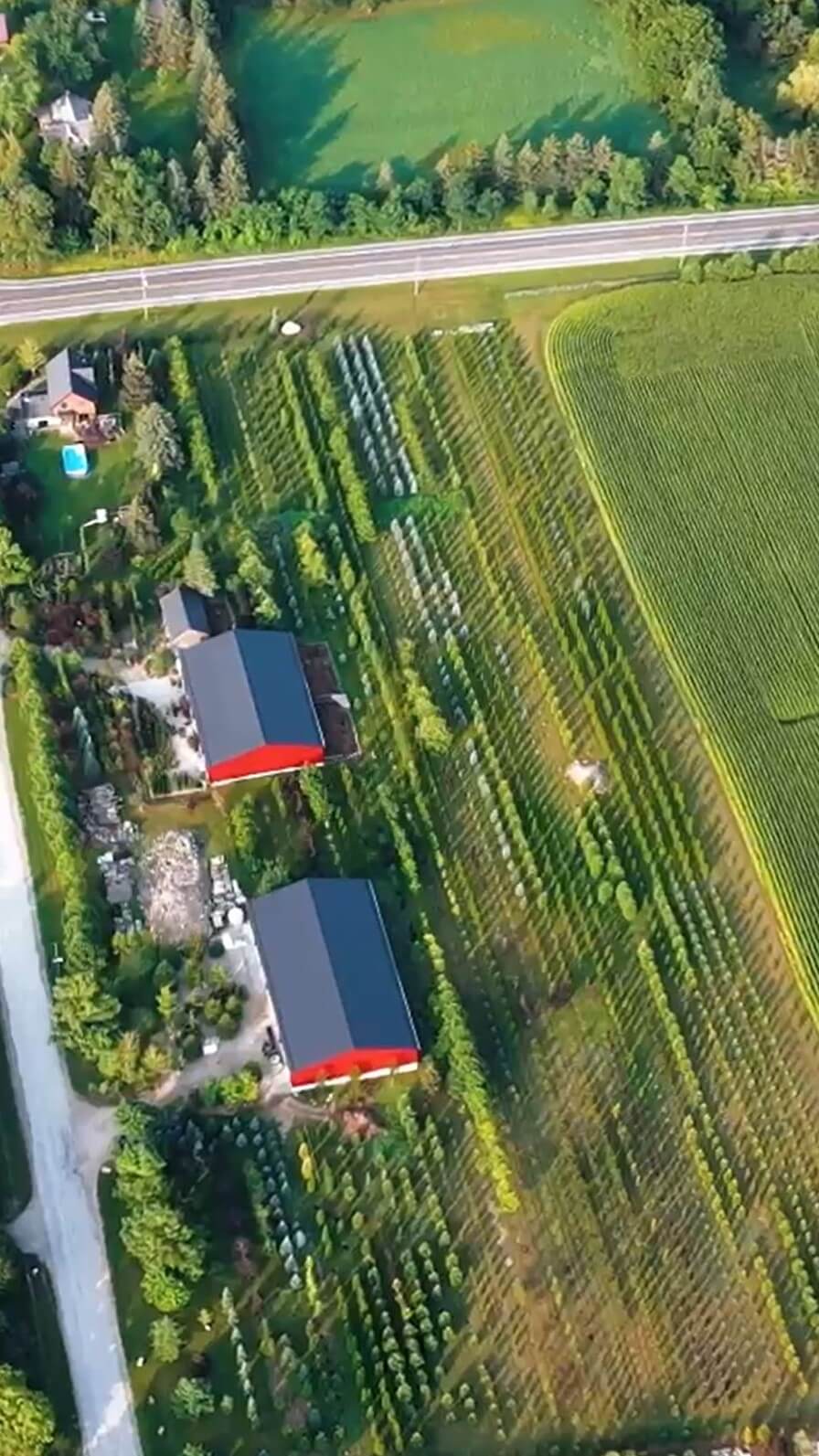 birds eye view over cerelli tree farm